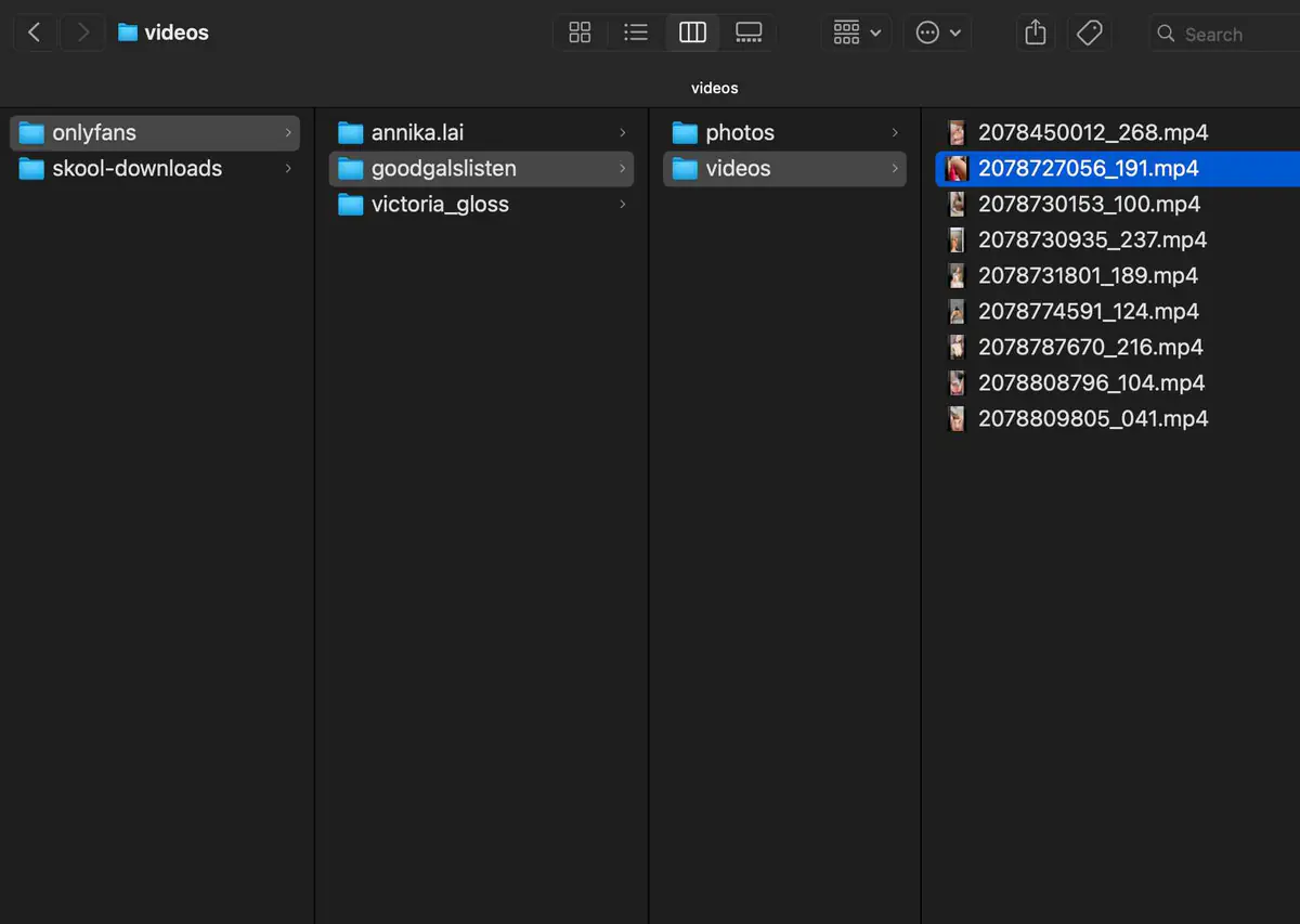 OnlyFans Video Downloader screenshot 3