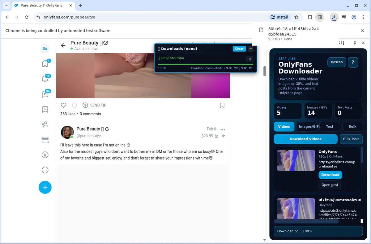 OnlyFans Video Downloader screenshot 9