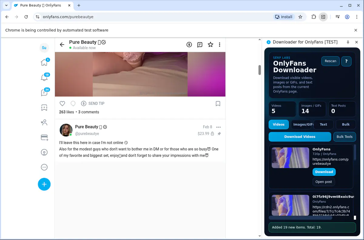 OnlyFans Video Downloader screenshot 10